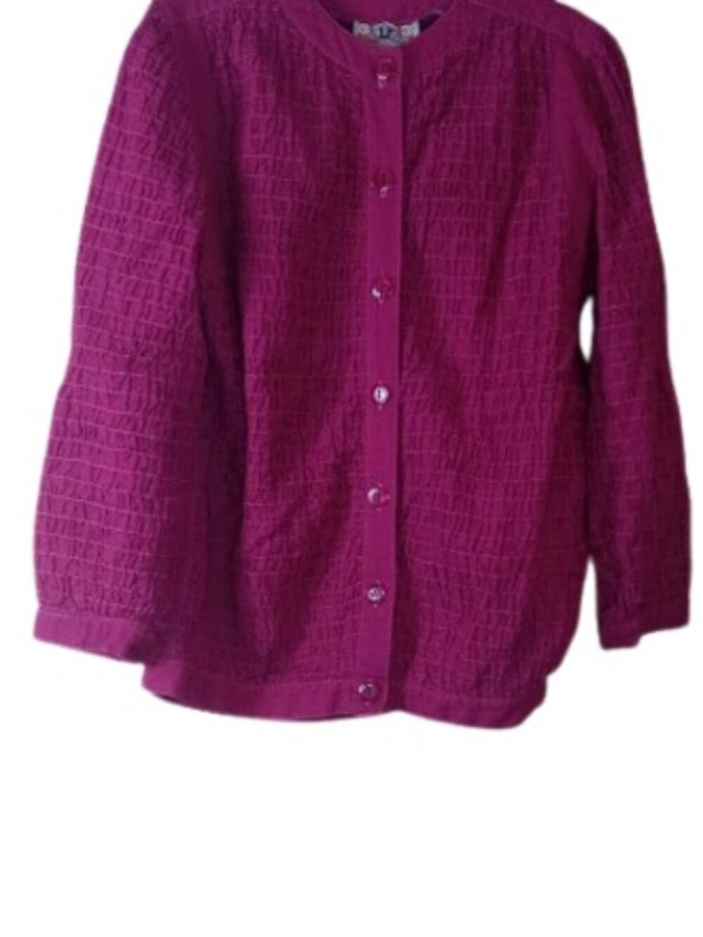 Vintage Bis Bis Gene Ewing California Sunwash Wrinkle Rich Jacket Fuchsia S